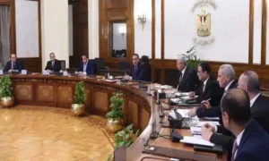 مدبولي يتابع موقف توافر الأدوية والمستلزمات الطبية المختلفة