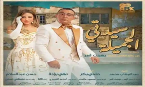 مسرحية سيدتي الجميلة بطولة الفنان أحمد السقا والفنانة ريم مصطفي