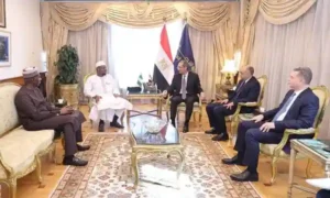 وزيرا الإتصالات المصري والنيجيري أثناء اللقاء