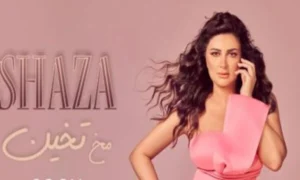 الفنانة شذي "مخ تخين"