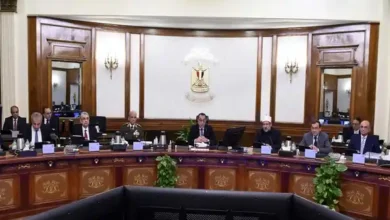 رئيس الوزراء أثناء إجتماع المجلس