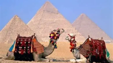 صورة تعبيرية