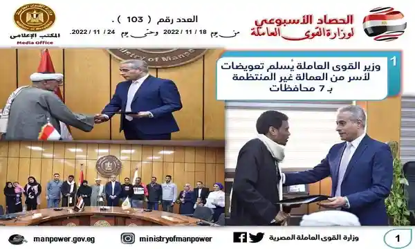 أنفوجراف وزارة القوي العاملة