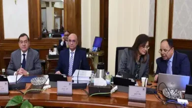 وزيرا التخطيط والمالية بمجلس الوزراء