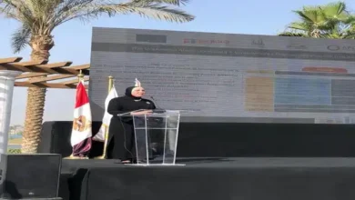 نيفين جامع الرئيس التنفيذي لجهاز تنمية المشروعات المتوسطة والصغيرة ومتناهية الصغر