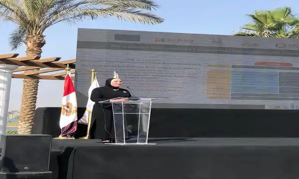 نيفين جامع الرئيس التنفيذي لجهاز تنمية المشروعات المتوسطة والصغيرة ومتناهية الصغر