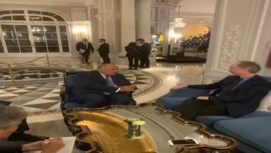 وزير الخارجية سامح شكري مع مبعوث الأمم المتحدة الخاص إلى سوريا