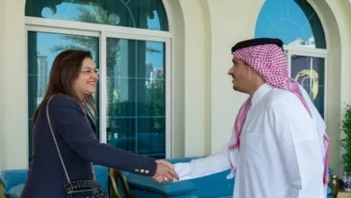 وزيرة التخطيط تلتقي عدد من الوزراء القطريين