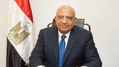 المهندس محمود عصمت وزير قطاع الأعمال العام