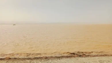 البحيرة (ب ١) بوادى حوضين