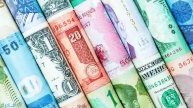 أوبرا مصر تَرصُد أسعار العُملات اليوم الثلاثاء 3 يناير 2023 في مصر
