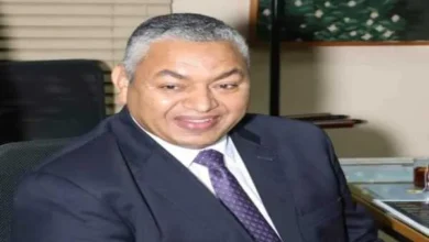 د. محمود بكري عضو مجلس الشيوخ