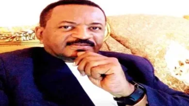 الشاعر معاوية ماجد