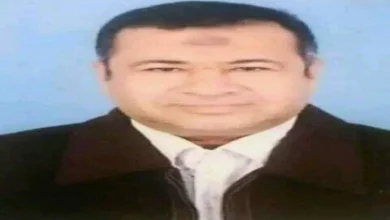 الشاعر حمدي طه