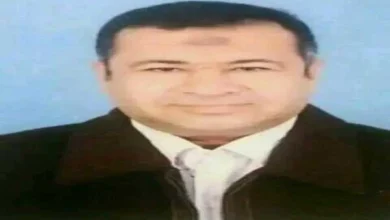 الشاعر حمدي طه