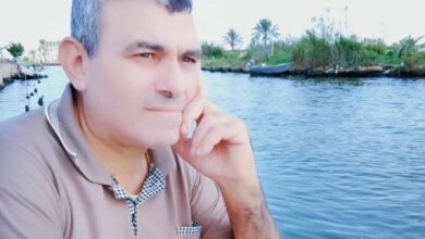 إبراهيم الديب