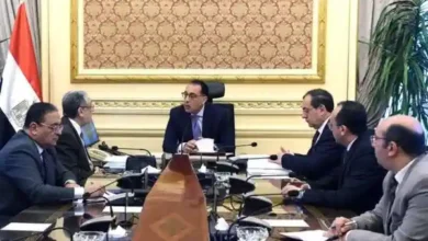 مدبولي يتابع موقف تنفيذ مشروعات الطاقة المتجددة