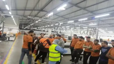 صندوق مكافحة الإدمان يطلق سلسلة أنشطة لتوعية العمال بالمناطق الصناعية بأضرار تعاطي المخدرات