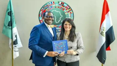 مباحثات ثنائية بين المشاط والسيد أكينومي أديسينا رئيس مجموعة البنك الأفريقي للتنمية