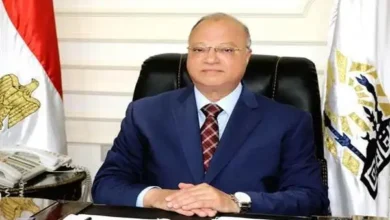 محافظ القاهرة : حملات مكثفة على محال بيع اللحوم والأسماك والدواجن ومصنعاتها بكافة أحياء العاصمة