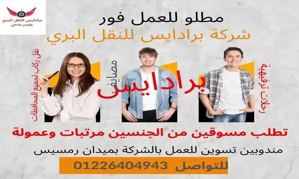 فوراً .. مطلوب مسوقين من الجنسين لشركة برادايس للنقل والرحلات بمرتبات مجزية