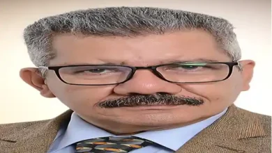 الاغتراب في شعر محمد الشحات كتاب نقدي عن دار غيداء الأردنية للعراقية حنين الفلاحي