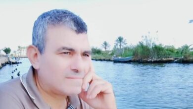 إبراهيم الديب