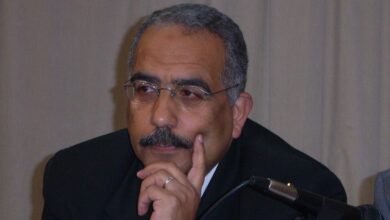الأديب والشاعر القدير أحمد فضل شبلول