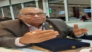 الشاعر ثروت سليم