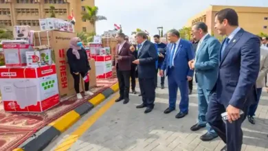 صندوق تحيا مصر