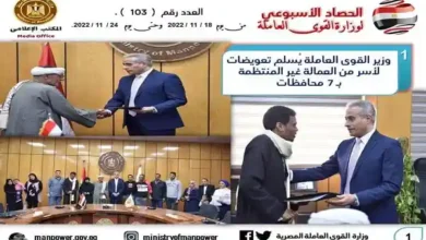 أنفوجراف وزارة القوي العاملة