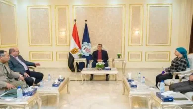 وزير الإنتاج الحربي