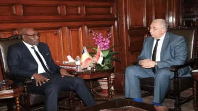 وزير الزراعة المصري مع الوزير التشادي