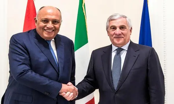 وزيرا الخارجية المصري والإيطالي