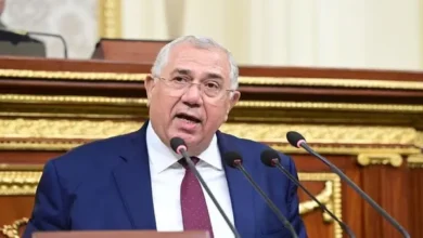 وزير الزراعة خلال الجلسة العامة بمجلس النواب