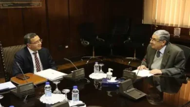 وزير الكهرباء والطاقة المتجددة مع السفير الهندي بالقاهرة