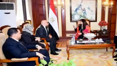 وزيرة الهجرة تستقبل واحداً من كبار المستثمرين المصريين بالسويد