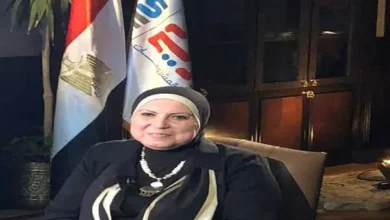 الأستاذة نيفين جامع الرئيس التنفيذي لجهاز تنمية المشروعات