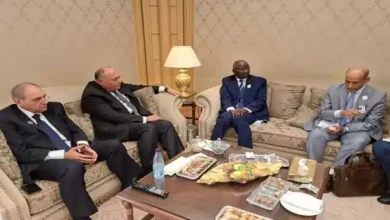 وزير الخارجية المصري مع وزير الشئون الخارجية والتعاون والموريتانيين بالرياض
