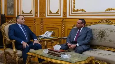 وزيرا الإنتاج الحربي والتنمية المحلية يتابعان الموقف التنفيذي لعدد من المشروعات