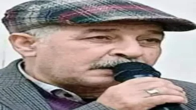 الشاعر أحمد الشامي