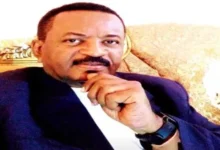 الشاعر معاوية ماجد