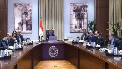 الجميلي أحمد يَكتُب : مدبولي يتابع نتائج أعمال الشركة القابضة للصناعات الكيماوية وشركاتها التابعة