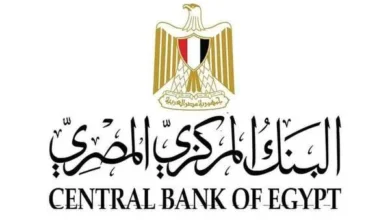 إطلاق الموقع الإلكتروني الجديد للبنك المركزي المصري