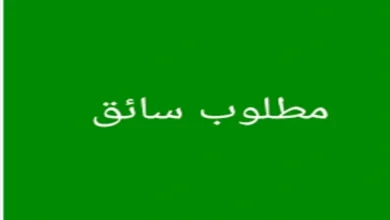 فوراً .. مطلوب سائق لعربية نصف نقل رخصة ثانية بمدينة نصر