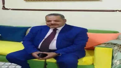 محسن خزيم يَكتُب :قراءة انطباعية لرواية محسن الغمري "أفندينا"