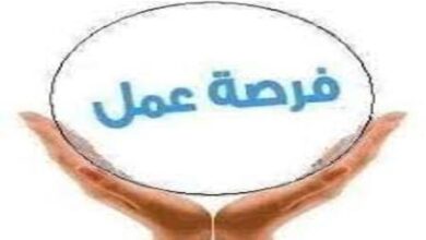 فوراً .. مطلوب عمال تعبئة وتغليف في العاشر من رمضان بمصنع فلاتر