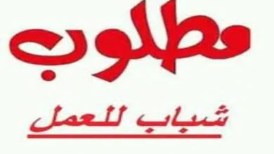 فوراً .. مطلوب للتعيين لمؤسسة الحياة بيور لايف فنيين صيانة وتركيبات بدون خبرة