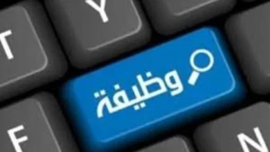 فوراً .. مطلوب سائق محترف للعمل بشركة في مدينة نصر