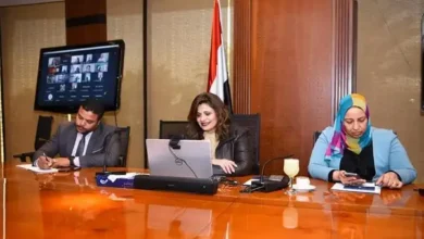 وزيرة الهجرة تلتقي عدداً من أبناء الجالية المصرية في كل من "السويد والدنمارك وليتوانيا"